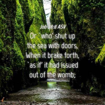 Picture 04 - Job 38:8 ASV - Or `who' shut up the sea with doors, When it - Bible Verse Picture