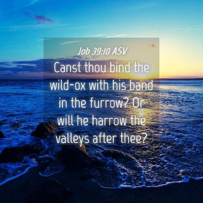 Picture 04 - Job 39:10 ASV - Canst thou bind the wild-ox with his band in the - Bible Verse Picture