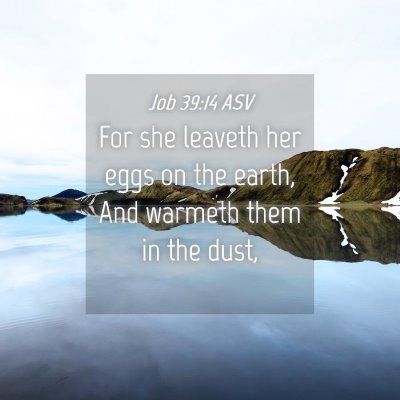 Picture 04 - Job 39:14 ASV - For she leaveth her eggs on the earth, And - Bible Verse Picture