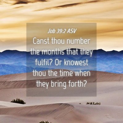 Picture 04 - Job 39:2 ASV - Canst thou number the months that they fulfil? Or - Bible Verse Picture