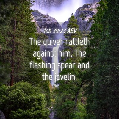 Picture 04 - Job 39:23 ASV - The quiver rattleth against him, The flashing - Bible Verse Picture