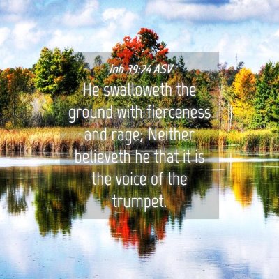 Picture 04 - Job 39:24 ASV - He swalloweth the ground with fierceness and - Bible Verse Picture