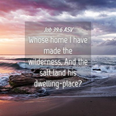 Picture 04 - Job 39:6 ASV - Whose home I have made the wilderness, And the - Bible Verse Picture