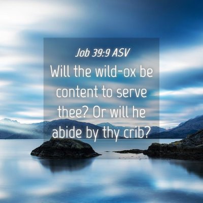 Picture 04 - Job 39:9 ASV - Will the wild-ox be content to serve thee? Or - Bible Verse Picture