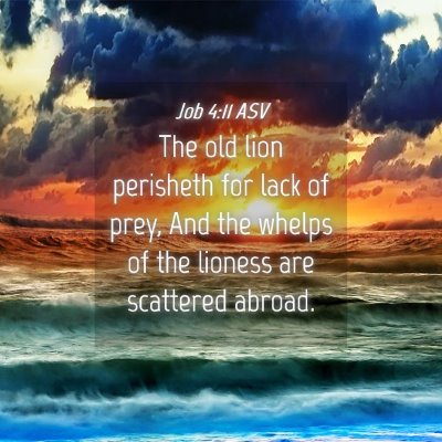 Picture 04 - Job 4:11 ASV - The old lion perisheth for lack of prey, And the - Bible Verse Picture