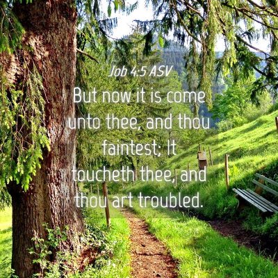 Picture 04 - Job 4:5 ASV - But now it is come unto thee, and thou faintest; - Bible Verse Picture