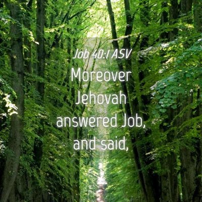 Picture 04 - Job 40:1 ASV - Moreover Jehovah answered Job, and - Bible Verse Picture