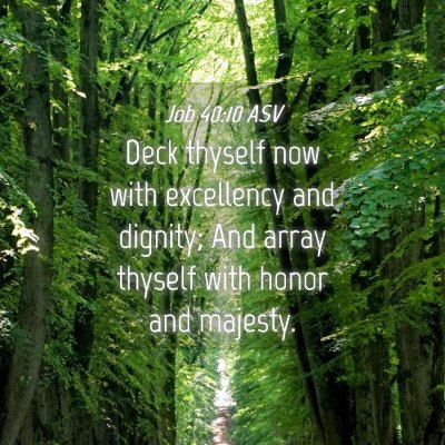 Picture 04 - Job 40:10 ASV - Deck thyself now with excellency and dignity; And - Bible Verse Picture