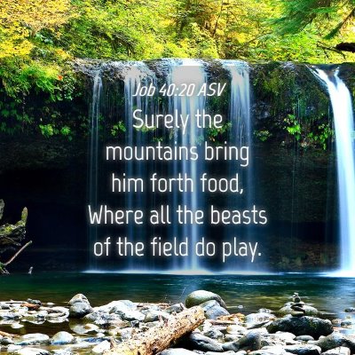 Picture 04 - Job 40:20 ASV - Surely the mountains bring him forth food, Where - Bible Verse Picture