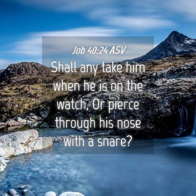 Picture 04 - Job 40:24 ASV - Shall any take him when he is on the watch, Or - Bible Verse Picture