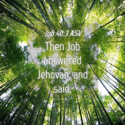 Picture 04 - Job 40:3 ASV - Then Job answered Jehovah, and - Bible Verse Picture