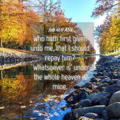 Picture 04 - Job 41:11 ASV - Who hath first given unto me, that I should repay - Bible Verse Picture