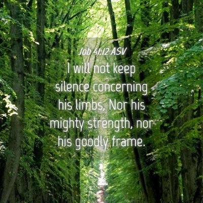 Picture 04 - Job 41:12 ASV - I will not keep silence concerning his limbs, Nor - Bible Verse Picture