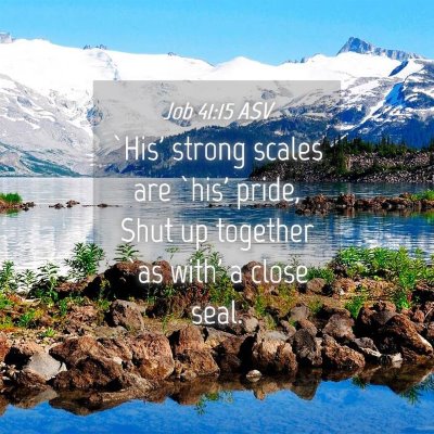 Picture 04 - Job 41:15 ASV - `His' strong scales are `his' pride, Shut up - Bible Verse Picture