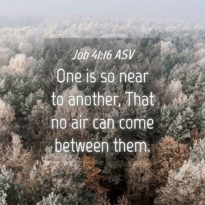 Picture 04 - Job 41:16 ASV - One is so near to another, That no air can come - Bible Verse Picture