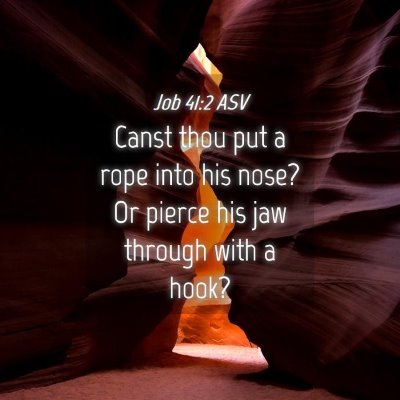 Picture 04 - Job 41:2 ASV - Canst thou put a rope into his nose? Or pierce - Bible Verse Picture