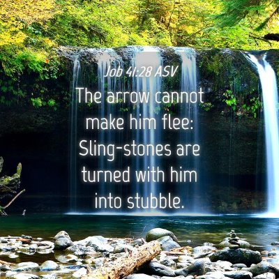 Picture 04 - Job 41:28 ASV - The arrow cannot make him flee: Sling-stones are - Bible Verse Picture