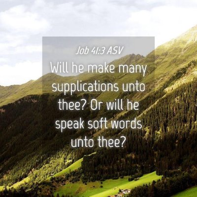 Picture 04 - Job 41:3 ASV - Will he make many supplications unto thee? Or - Bible Verse Picture