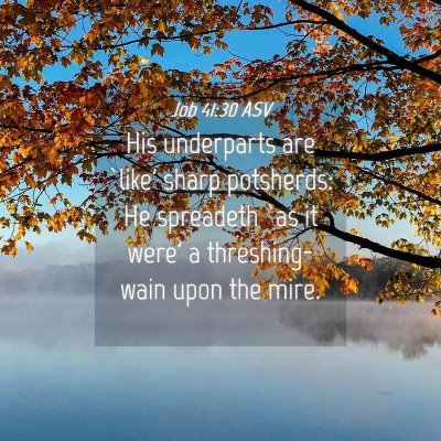 Picture 04 - Job 41:30 ASV - His underparts are `like' sharp potsherds: He - Bible Verse Picture
