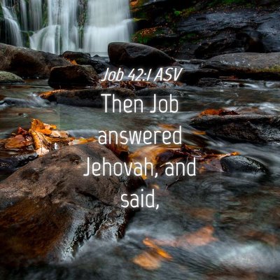 Picture 04 - Job 42:1 ASV - Then Job answered Jehovah, and - Bible Verse Picture