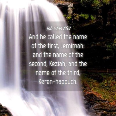 Picture 04 - Job 42:14 ASV - And he called the name of the first, Jemimah: and - Bible Verse Picture