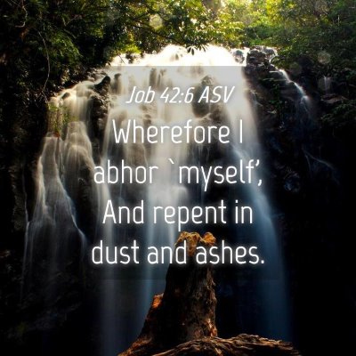 Picture 04 - Job 42:6 ASV - Wherefore I abhor `myself', And repent in dust - Bible Verse Picture