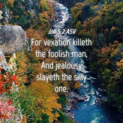 Picture 04 - Job 5:2 ASV - For vexation killeth the foolish man, And - Bible Verse Picture