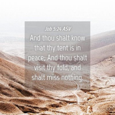 Picture 04 - Job 5:24 ASV - And thou shalt know that thy tent is in peace; - Bible Verse Picture