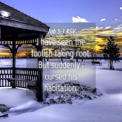 Picture 04 - Job 5:3 ASV - I have seen the foolish taking root: But suddenly - Bible Verse Picture