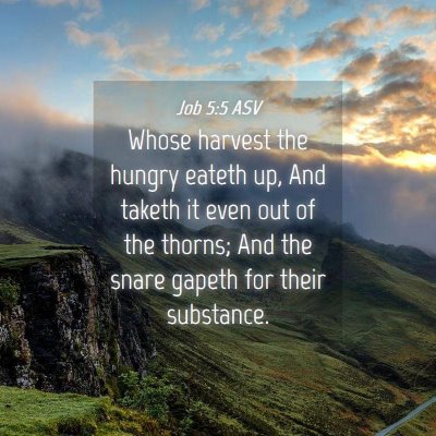 Picture 04 - Job 5:5 ASV - Whose harvest the hungry eateth up, And taketh it - Bible Verse Picture