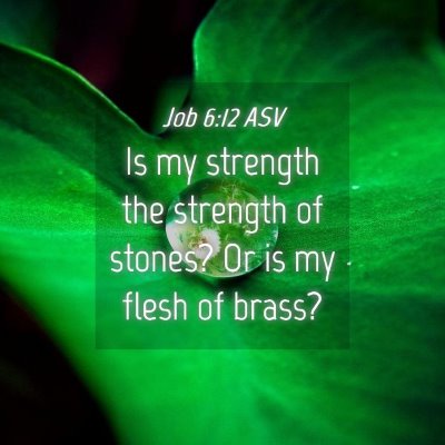 Picture 04 - Job 6:12 ASV - Is my strength the strength of stones? Or is my - Bible Verse Picture
