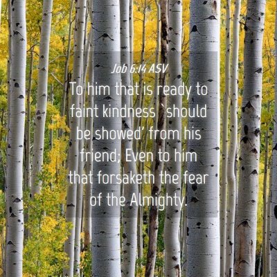 Picture 04 - Job 6:14 ASV - To him that is ready to faint kindness `should be - Bible Verse Picture