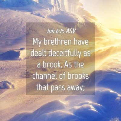 Picture 04 - Job 6:15 ASV - My brethren have dealt deceitfully as a brook, As - Bible Verse Picture