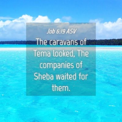 Picture 04 - Job 6:19 ASV - The caravans of Tema looked, The companies of - Bible Verse Picture