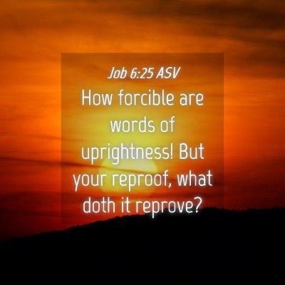 Picture 04 - Job 6:25 ASV - How forcible are words of uprightness! But your - Bible Verse Picture