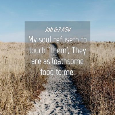 Picture 04 - Job 6:7 ASV - My soul refuseth to touch `them'; They are as - Bible Verse Picture