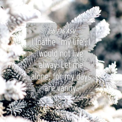 Picture 04 - Job 7:16 ASV - I loathe `my life'; I would not live alway: Let - Bible Verse Picture