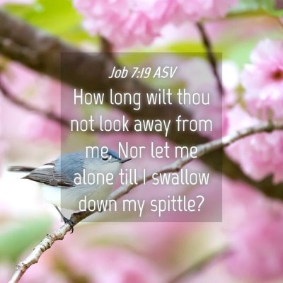Picture 04 - Job 7:19 ASV - How long wilt thou not look away from me, Nor let - Bible Verse Picture