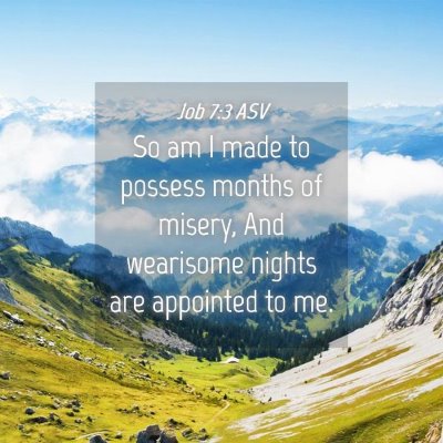 Picture 04 - Job 7:3 ASV - So am I made to possess months of misery, And - Bible Verse Picture