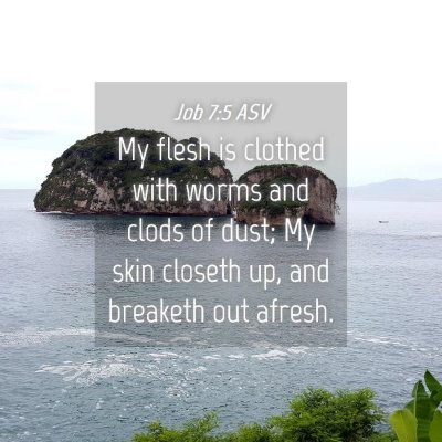 Picture 04 - Job 7:5 ASV - My flesh is clothed with worms and clods of dust; - Bible Verse Picture
