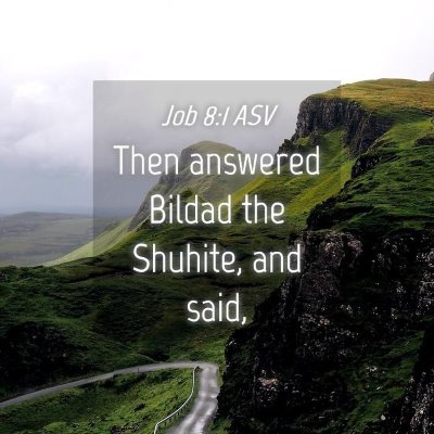 Picture 04 - Job 8:1 ASV - Then answered Bildad the Shuhite, and - Bible Verse Picture