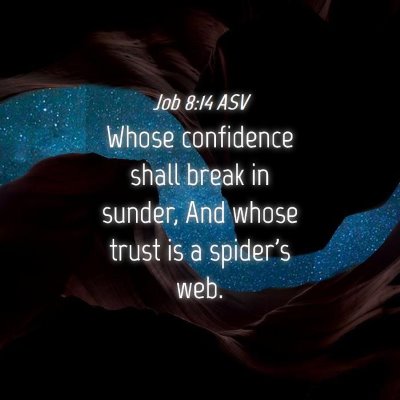 Picture 04 - Job 8:14 ASV - Whose confidence shall break in sunder, And whose - Bible Verse Picture