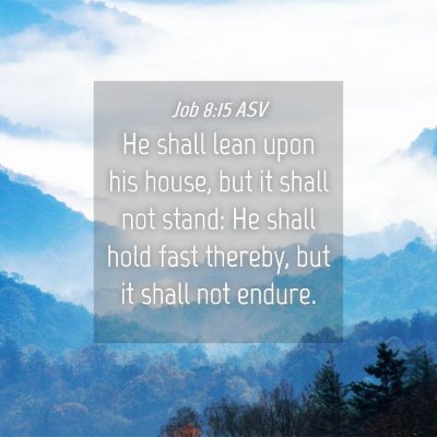 Picture 04 - Job 8:15 ASV - He shall lean upon his house, but it shall not - Bible Verse Picture