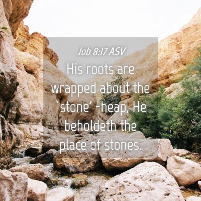 Picture 04 - Job 8:17 ASV - His roots are wrapped about the `stone' -heap, He - Bible Verse Picture