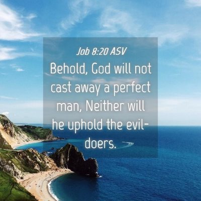 Picture 04 - Job 8:20 ASV - Behold, God will not cast away a perfect man, - Bible Verse Picture