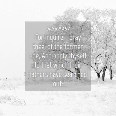 Picture 04 - Job 8:8 ASV - For inquire, I pray thee, of the former age, And - Bible Verse Picture