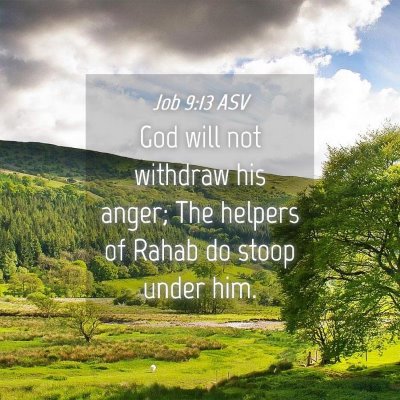 Picture 04 - Job 9:13 ASV - God will not withdraw his anger; The helpers of - Bible Verse Picture