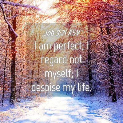 Picture 04 - Job 9:21 ASV - I am perfect; I regard not myself; I despise my - Bible Verse Picture