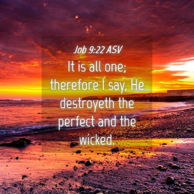 Picture 04 - Job 9:22 ASV - It is all one; therefore I say, He destroyeth the - Bible Verse Picture