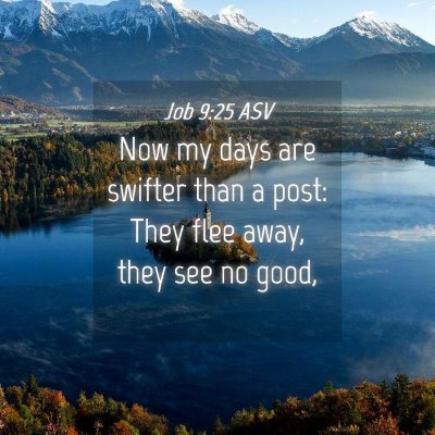 Picture 04 - Job 9:25 ASV - Now my days are swifter than a post: They flee - Bible Verse Picture